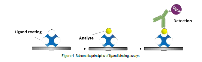 A Review On Lba And Lc Ms Platforms For Supporting Large Molecule Pharmacokinetics Bioanalysis